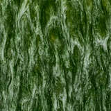 9saturntlgrn alternate image1 close up 04 2025