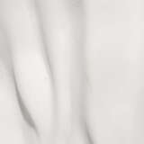 9sweetwotlwh alternate image1 close up 09 2024