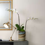 Bl216 tl3b alternate image beauty crop 03 2022