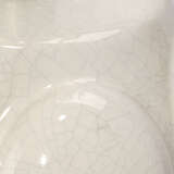 Ls9silastlwh alternate image1 close up 09 2024